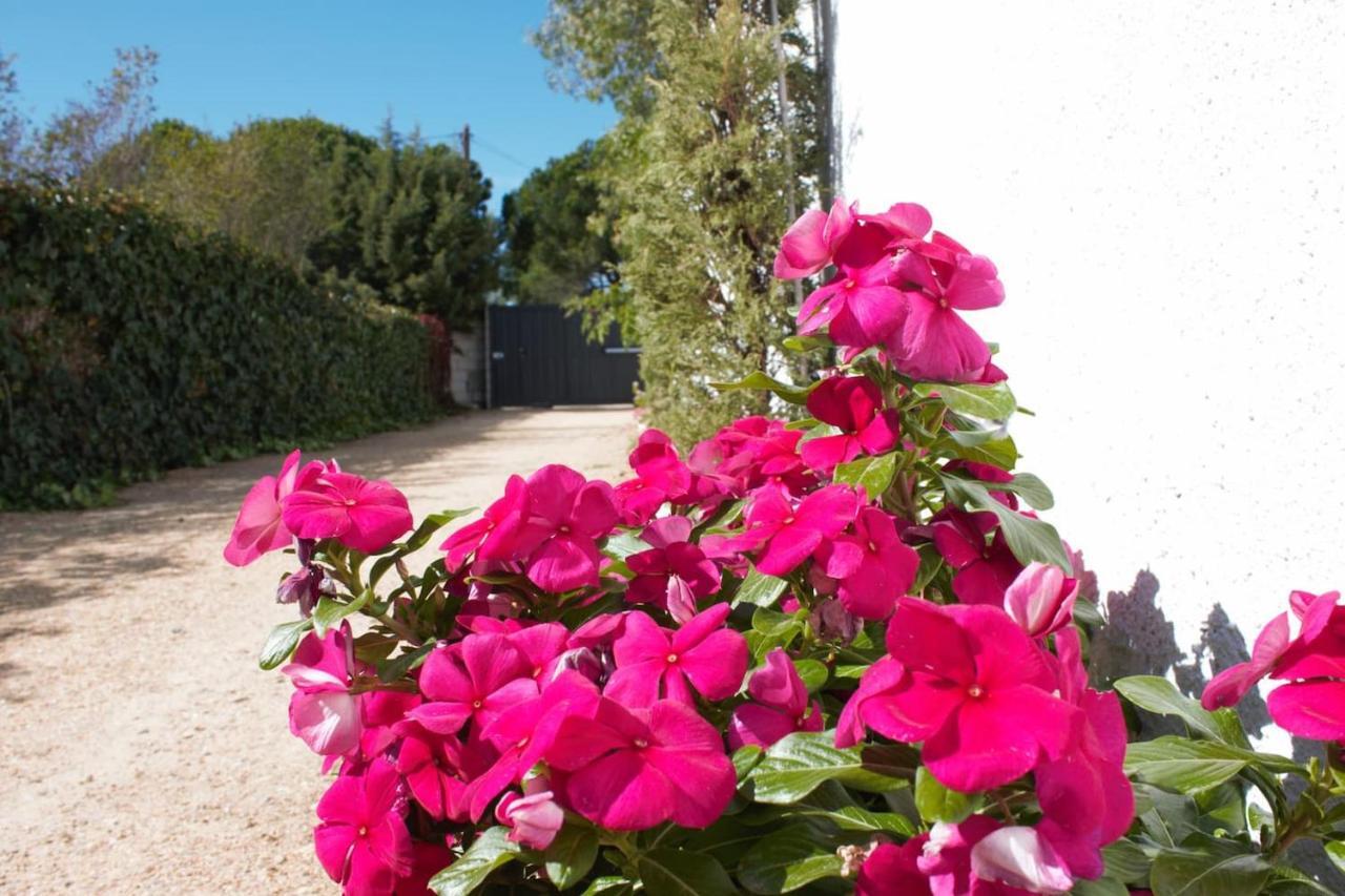 Finca Paredes Valdetorres de Jarama Экстерьер фото