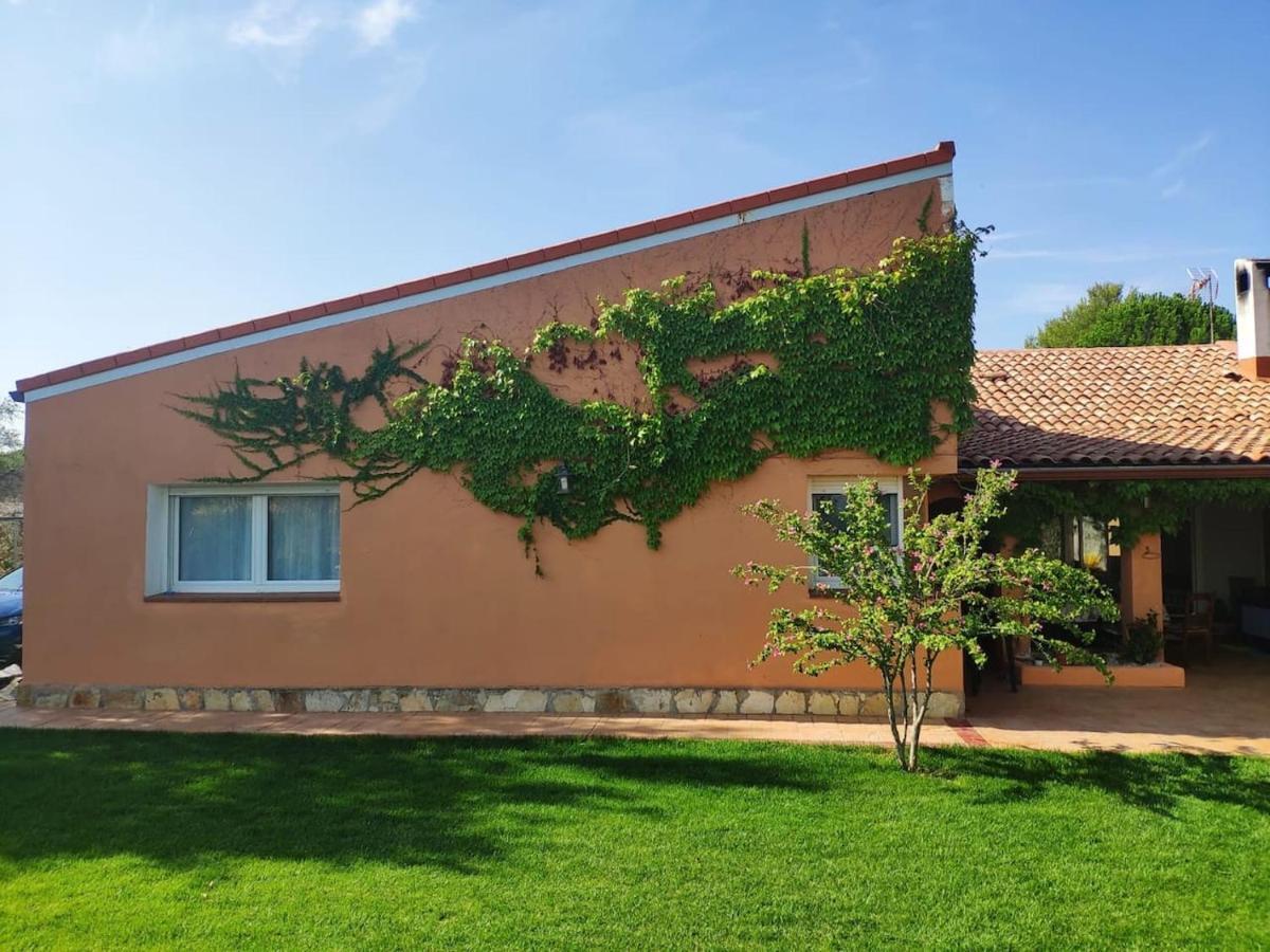 Finca Paredes Valdetorres de Jarama Экстерьер фото