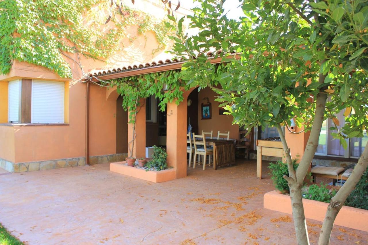 Finca Paredes Valdetorres de Jarama Экстерьер фото