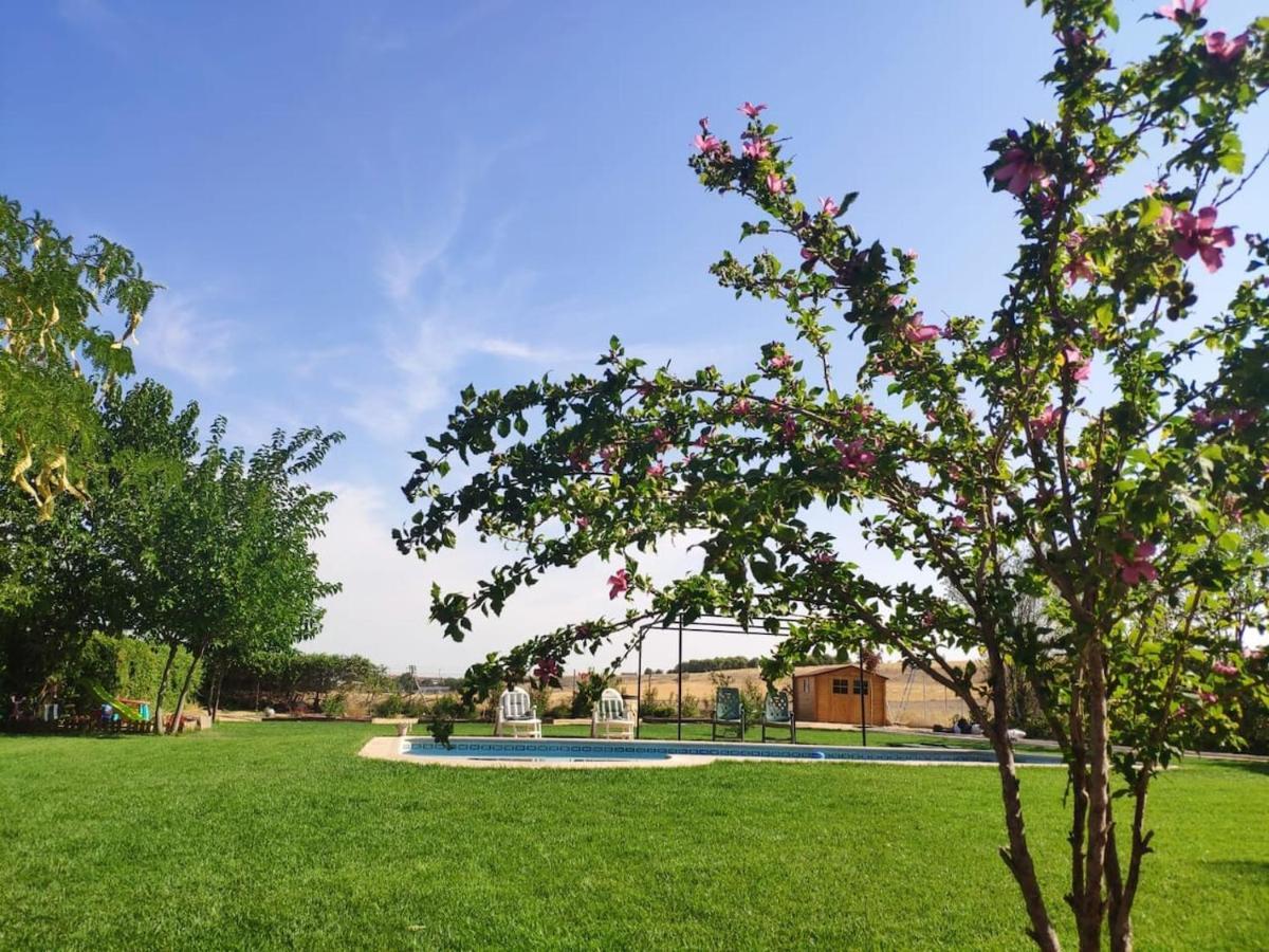 Finca Paredes Valdetorres de Jarama Экстерьер фото