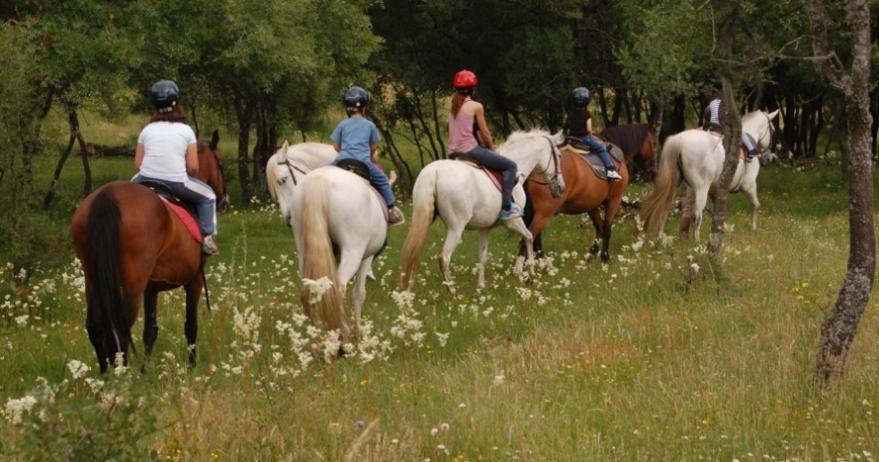 Finca Paredes Valdetorres de Jarama Экстерьер фото
